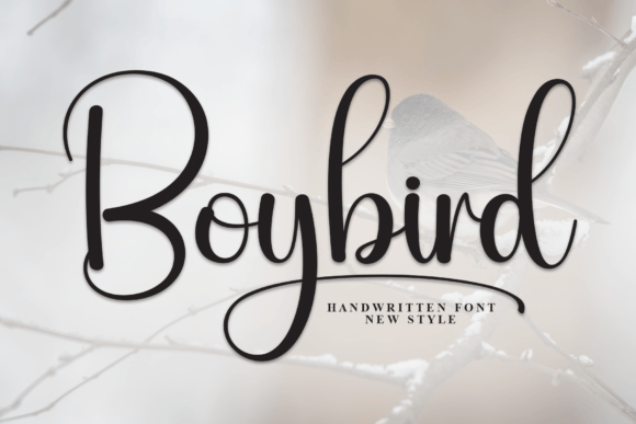 Boybird Font for Professional Branding