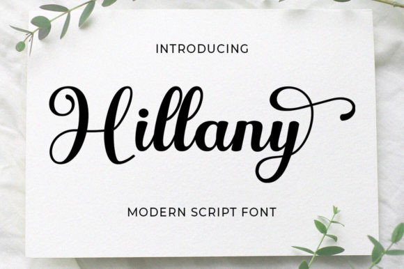 Hillany: A Script Font for Creative Branding