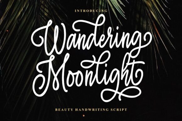 Wandering Moonlight Font for Campaigns That Shine